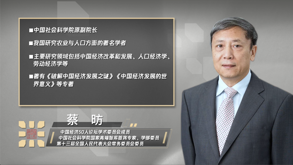 蔡昉：共享生产效率成果的中国方案